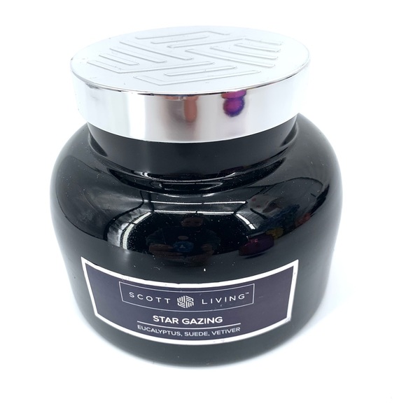 Kohl's Accents Scott Living Star Gazing Eucalyptus Suede Vetiver